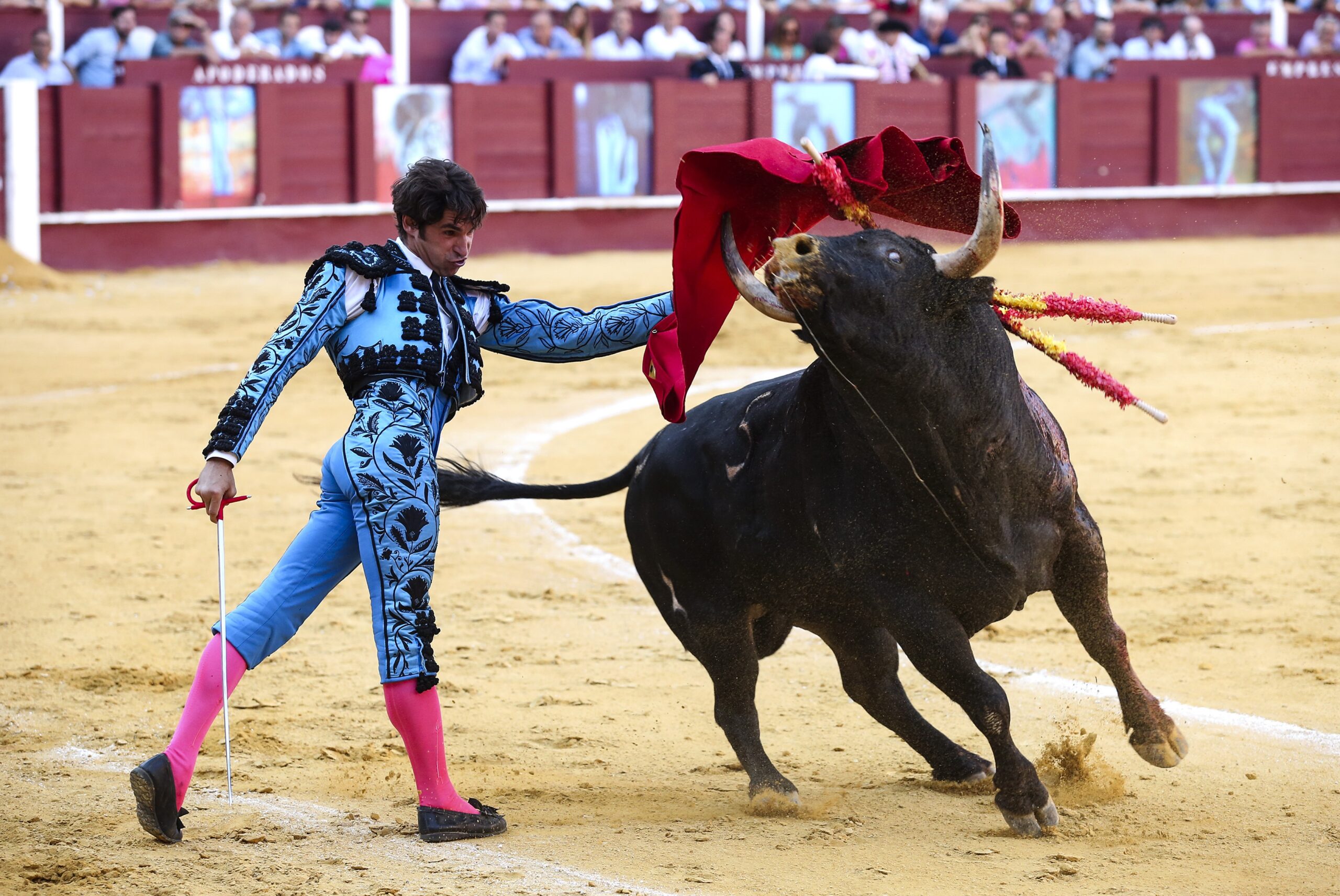 Stierengevecht in de La Malagueta Arena in Malaga. Foto: EPA/Daniel Perez