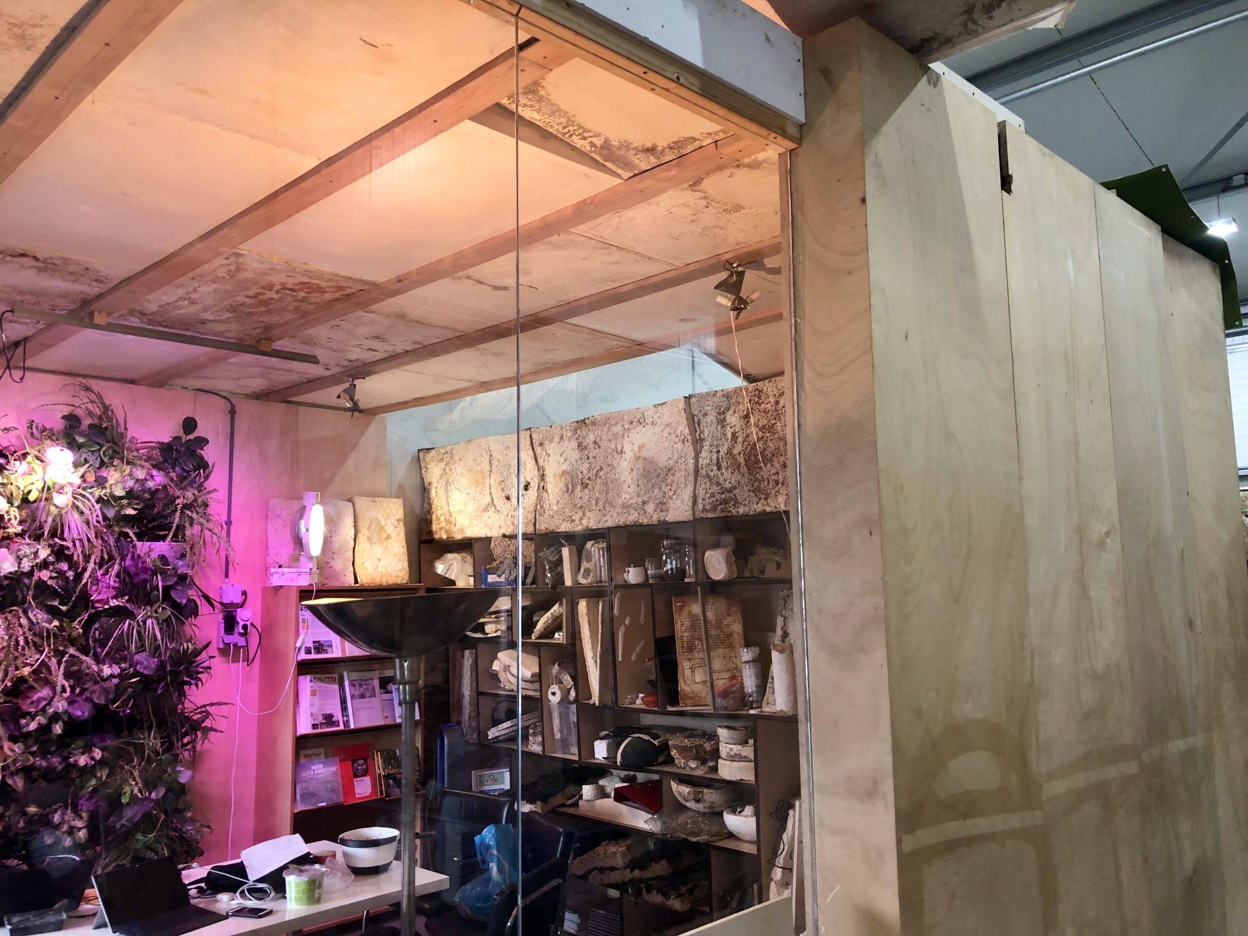 Het kantoor van SIGN wordt geïsoleerd door platen van mycelium en een houten muur met verpulverde tomatenstengels.