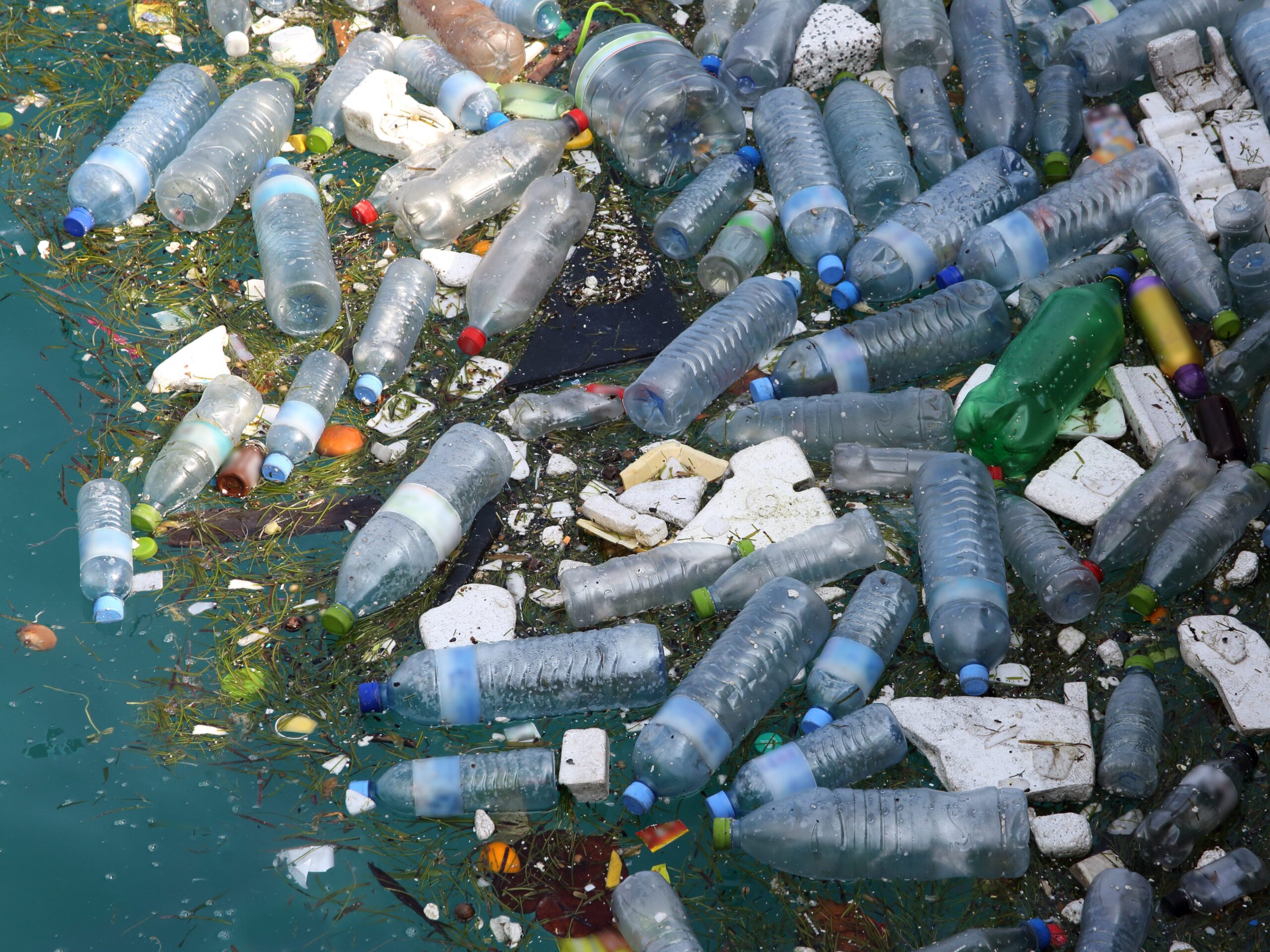 Marine pollution, mainly made up of plastic bottles and polystyrene floating in Hinnavaru Harbour, Maldives, Indian Ocean.