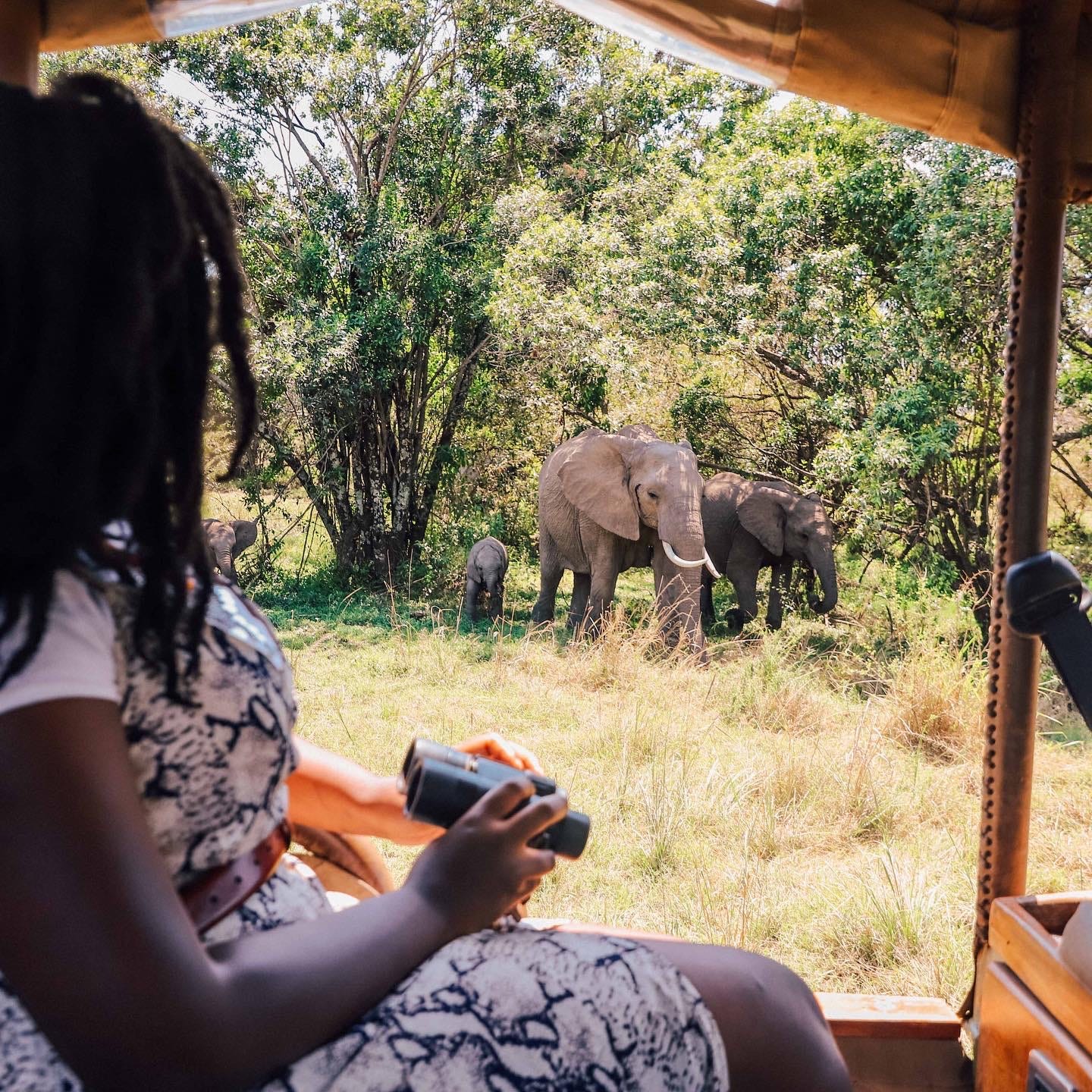 woman holding a pair of binoculars inside a safari vehicle looking out at elephants
