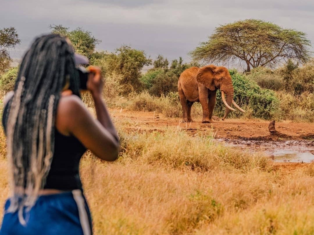 A woman photographing an elephant