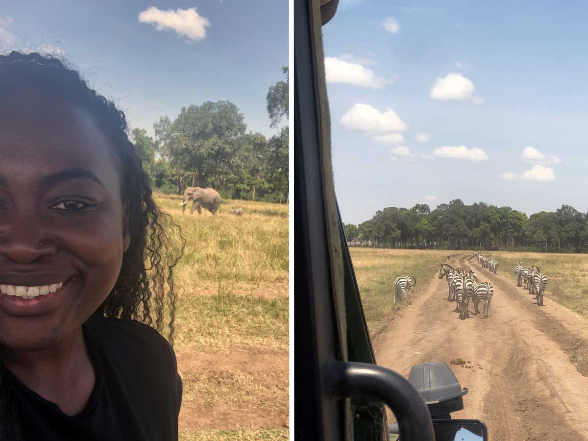 Side by side images of a woman's selfie next to a elephant and a car driving behind zebra.