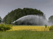 Landbouwers besproeien hun akkers in het zuiden van Brabant.