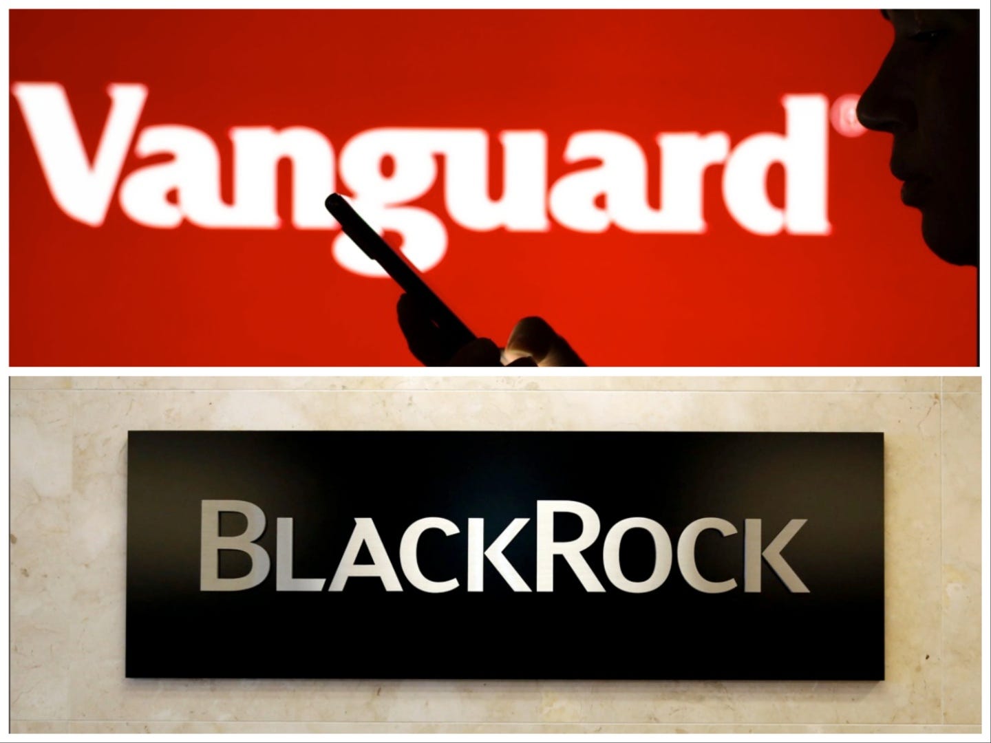 BlackRock Vs. Vanguard: The World's Biggest Asset Managers Don't See ...