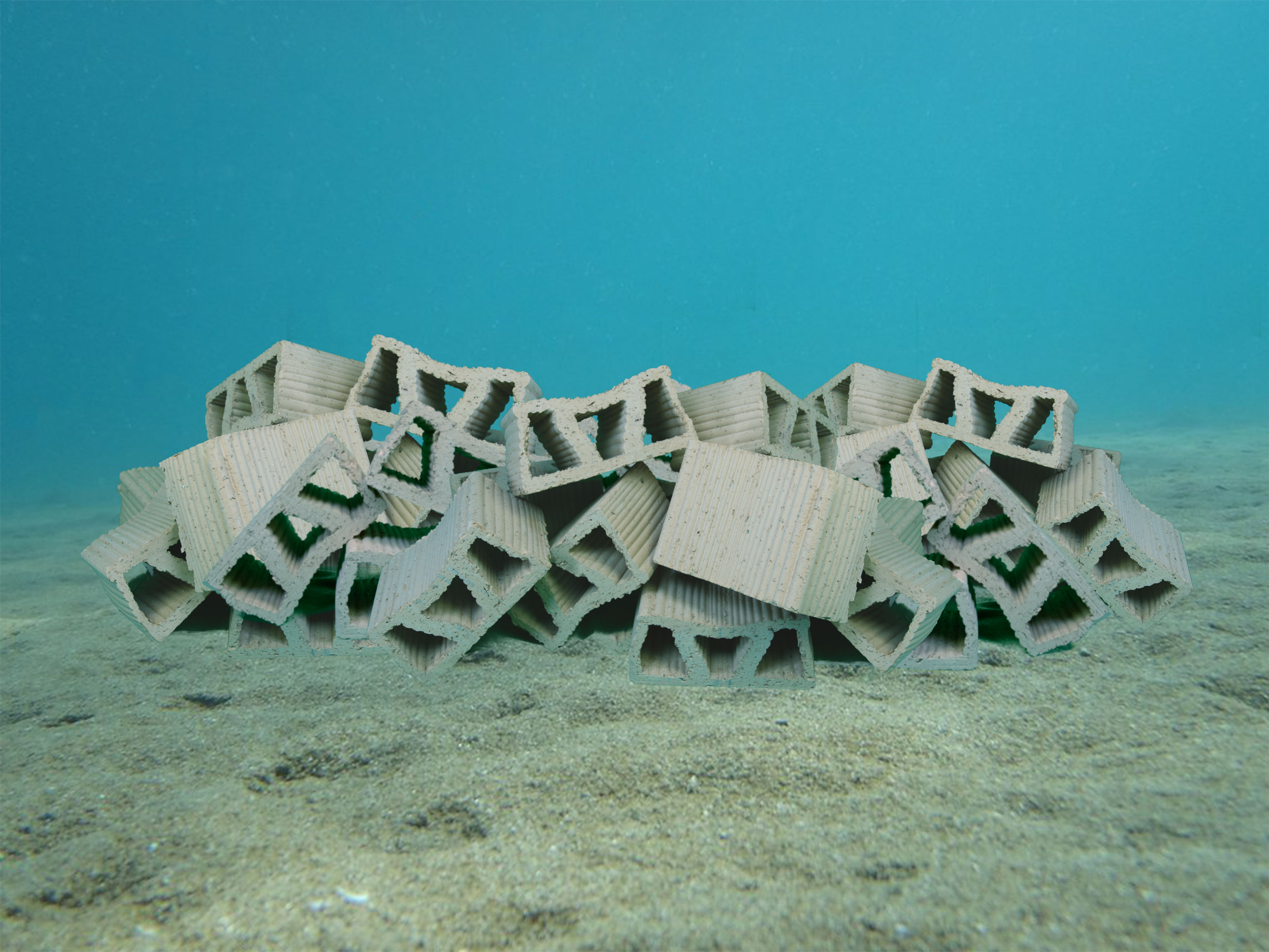 Het natuurlijke rifsysteem van klei van Oyster Heaven, genaamd 'Mother Reef'. 