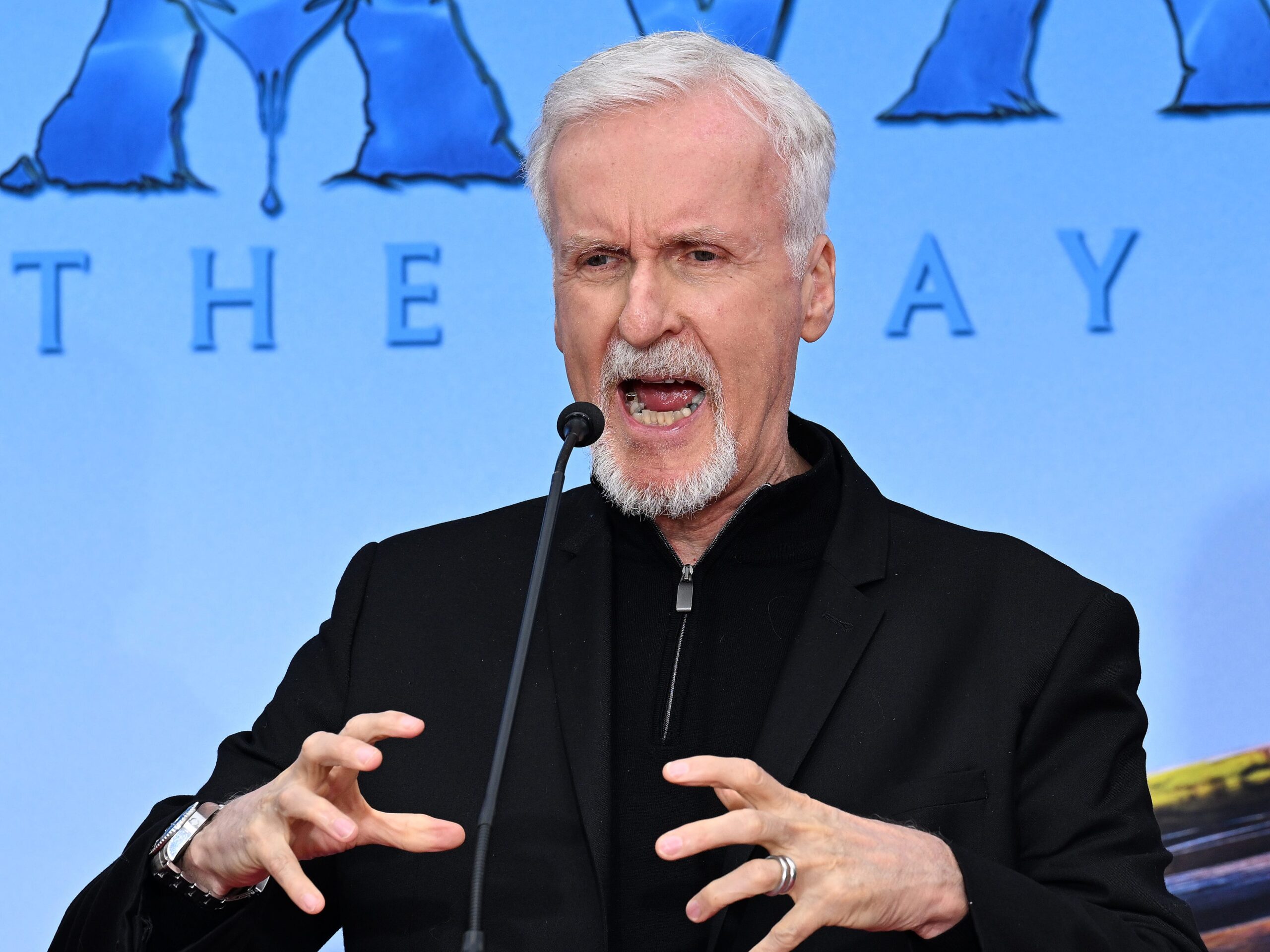 OceanGate's Co-founder Says James Cameron — Who's Criticized The ...