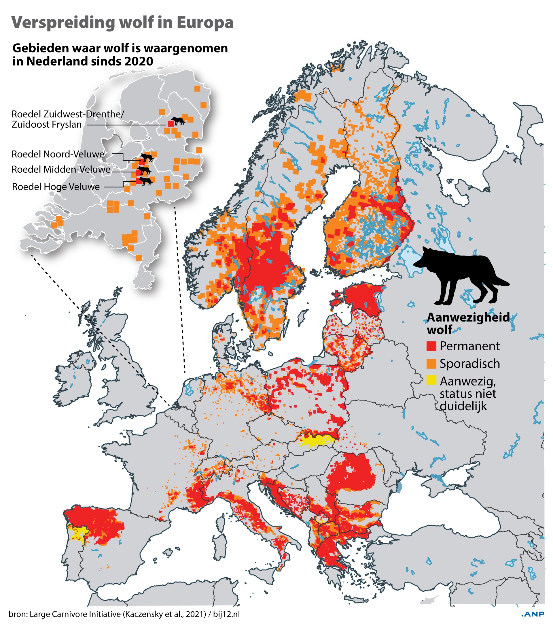 Verspreiding van de wolf in Europa. Bron: ANP