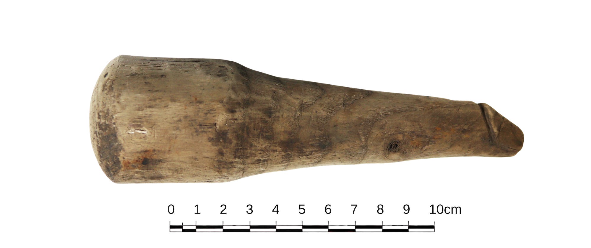 A phallic wooden object found at the ancient roman site of Vindolanda, shown with a cm scale indicating it is about 6 inches long.