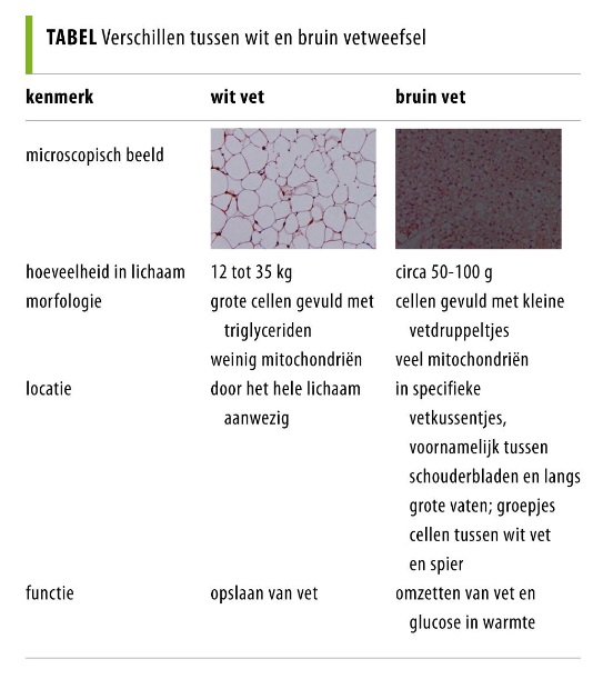 Bron: Nederlands Tijdschrift voor Geneeskunde, 7 maart 2013