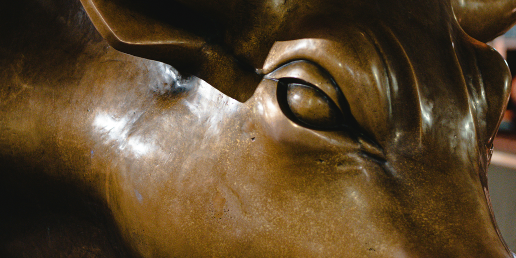 beurs bull
