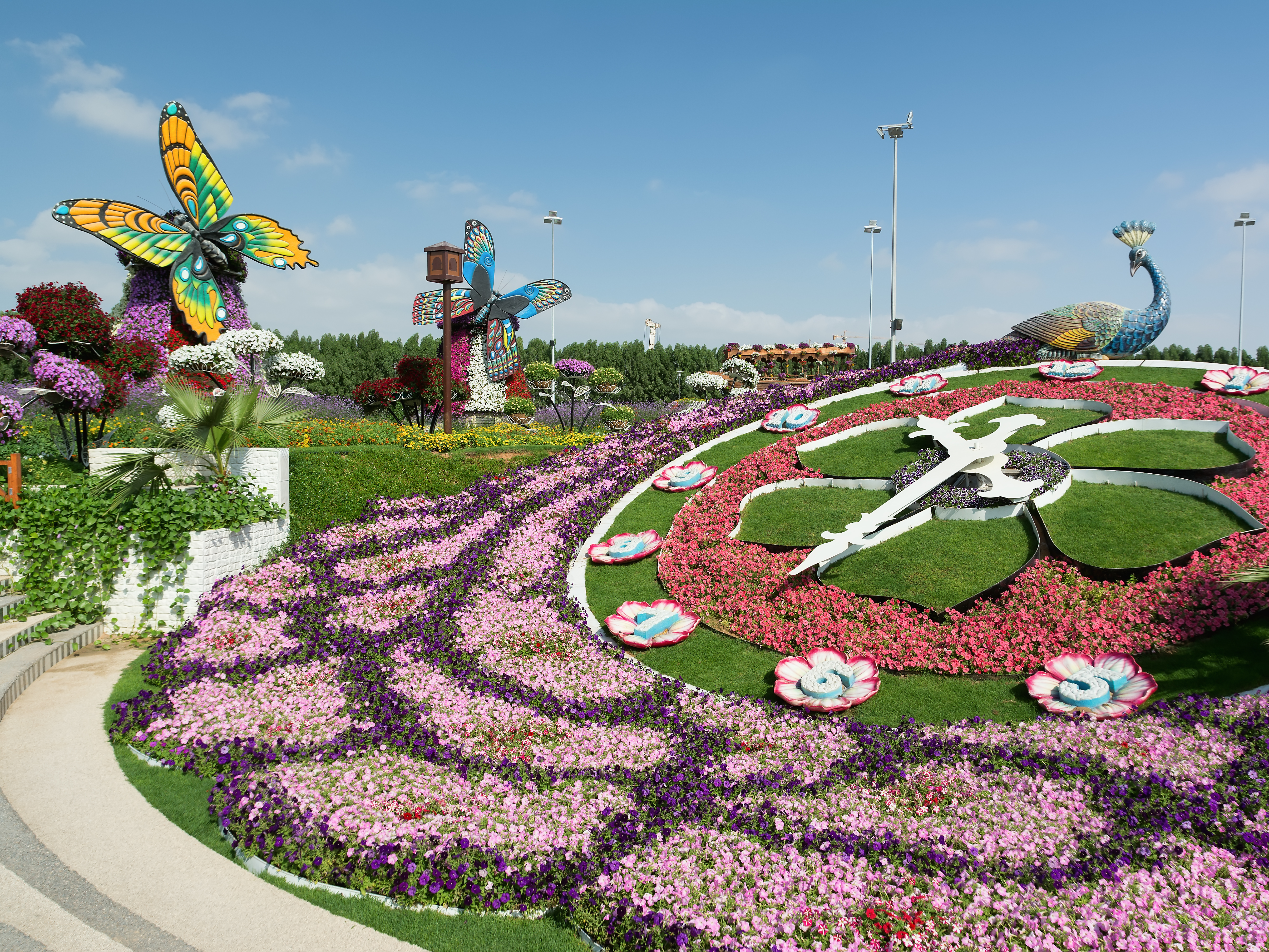 Dubai Miracle Garden