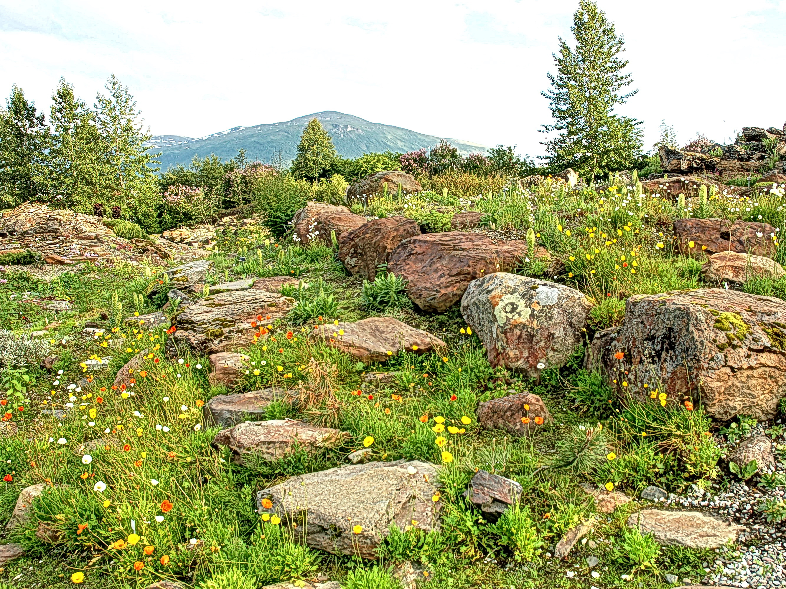 Tromso Arctic-Alpine Botanical Garden