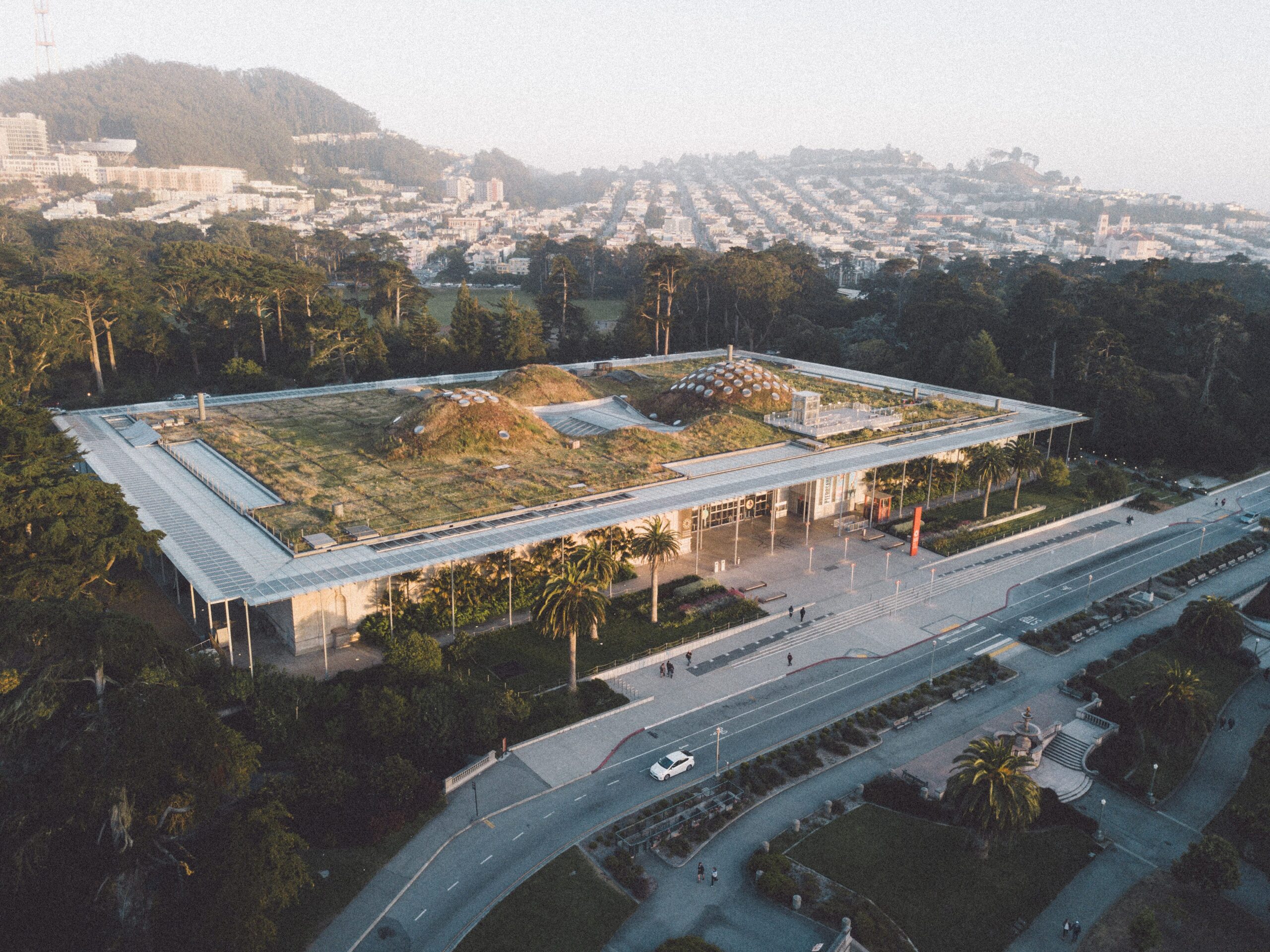 California Living Roof