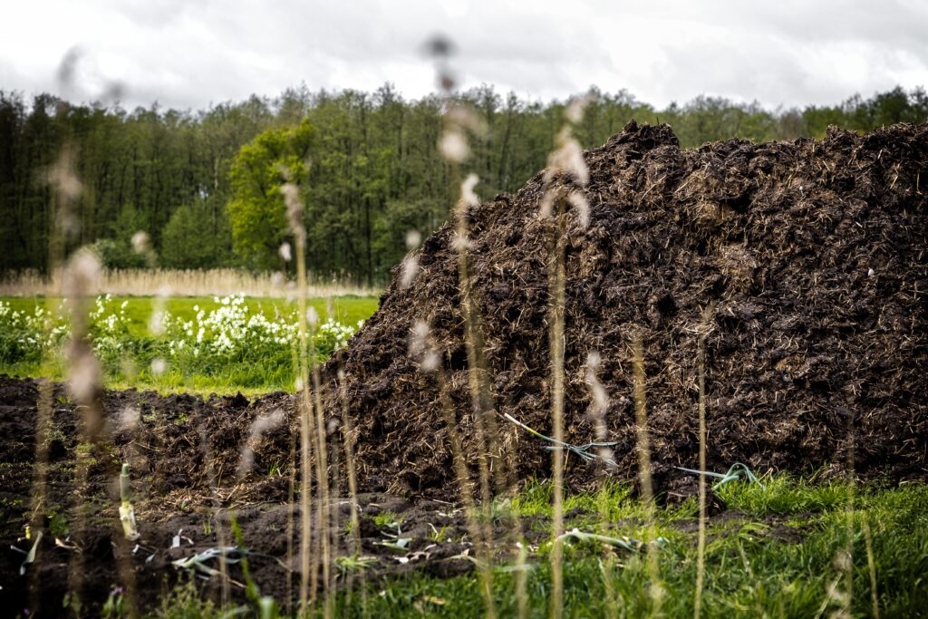 Een stapel droge mest bij een weiland in Mierlo. Door aangescherpte regels mogen boeren minder mest op hun land aanbrengen wat voor problemen zorgt bij de kleine boerenbedrijven.