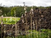 Een stapel droge mest bij een weiland in Mierlo. Door aangescherpte regels mogen boeren minder mest op hun land aanbrengen wat voor problemen zorgt bij de kleine boerenbedrijven.