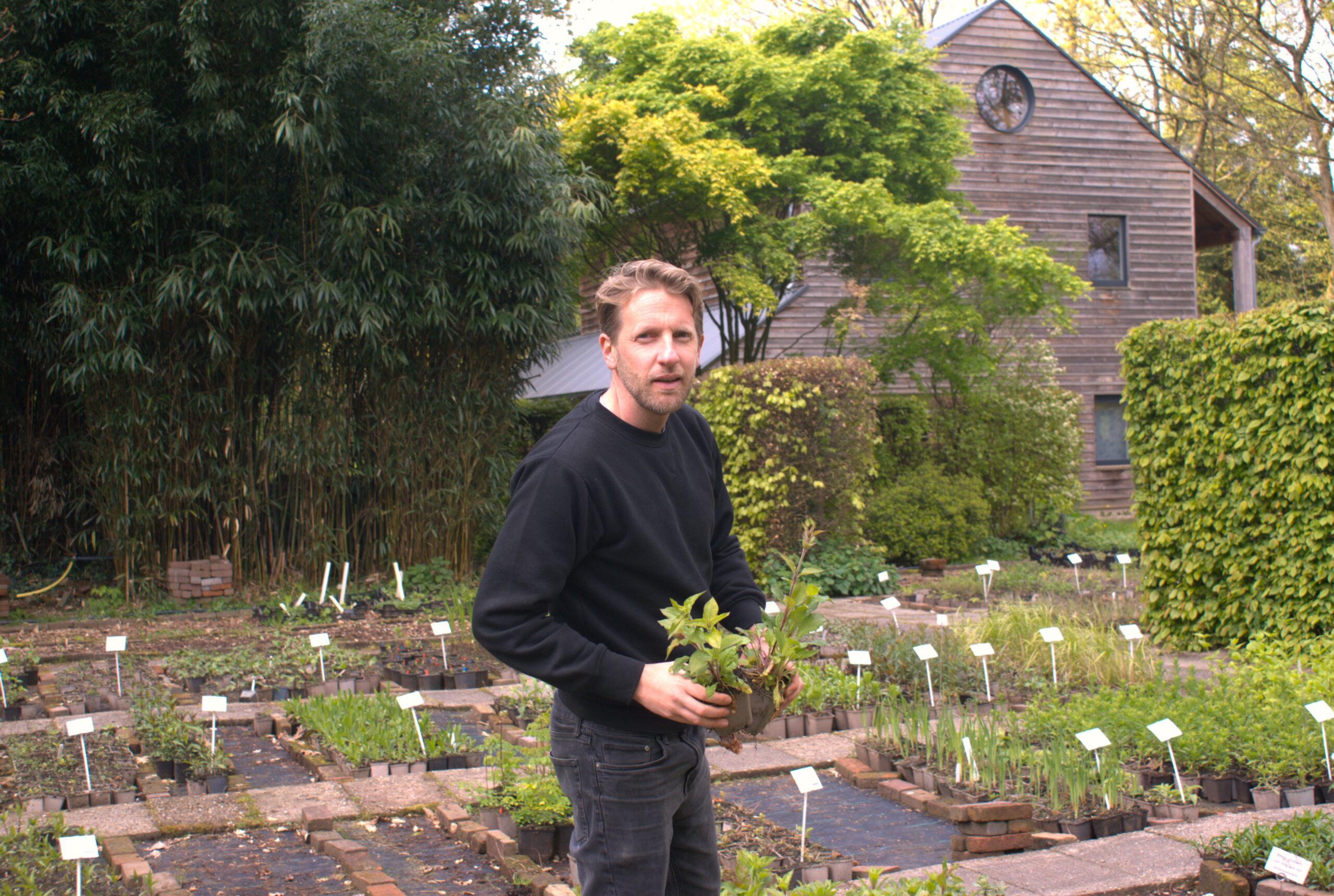 Reinier van Houtum: "Het idee is dat onze planten het over tien jaar nog doen."