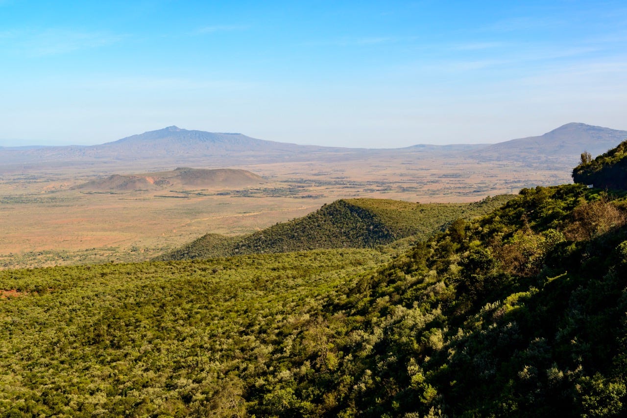 Grassy cliffs overlooking the desert of the Rift Valley