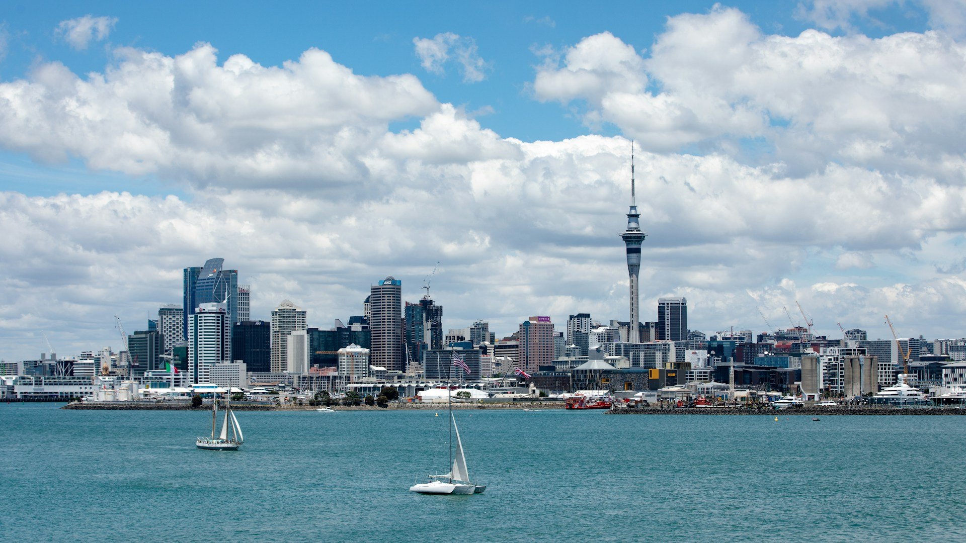 De Skyline van Auckland. Foto: Eric Feng / Unsplash