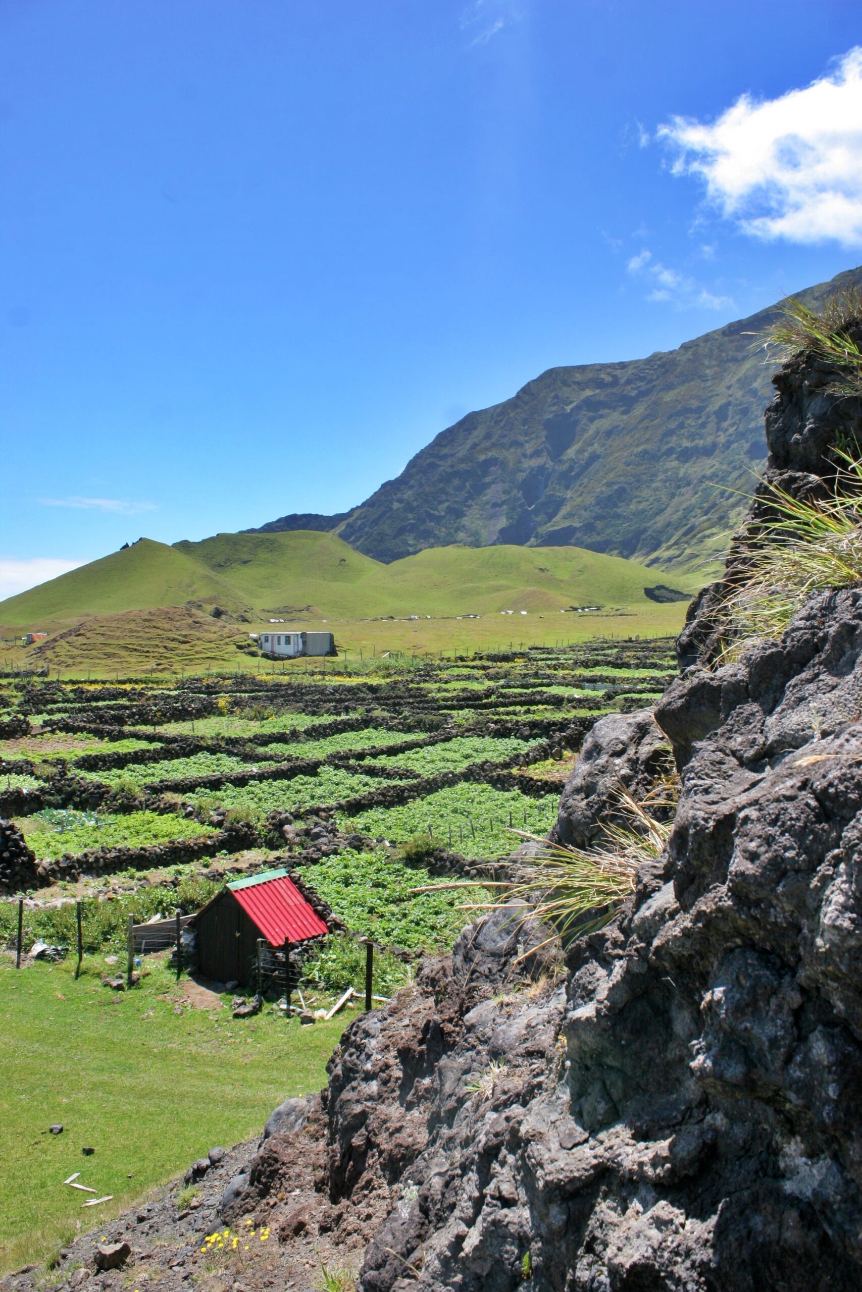 Fields on Tristan da Cunha.