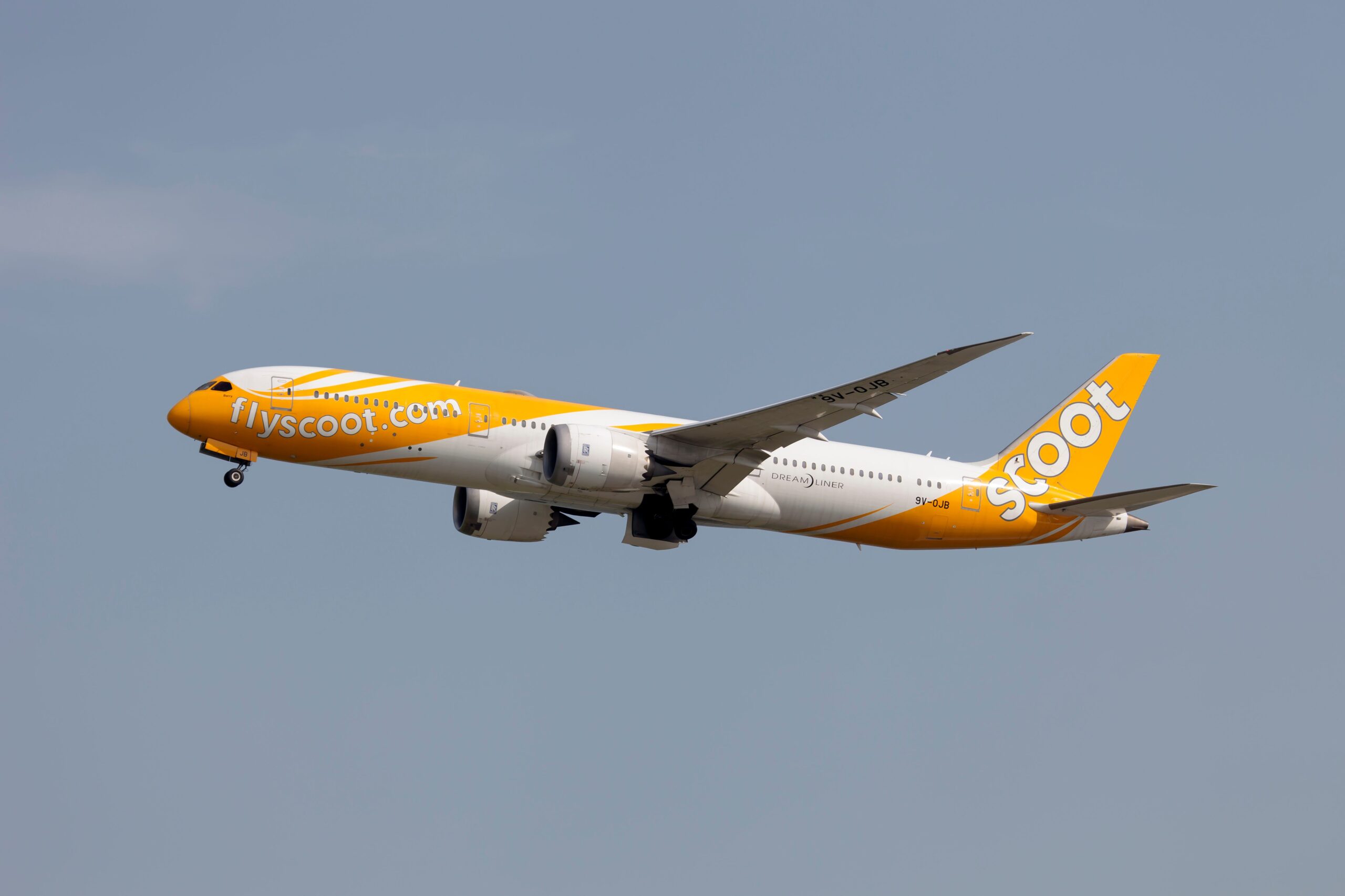 A Scoot Boeing 787-9 Dreamliner taking off from Osaka - Kansai Airport.