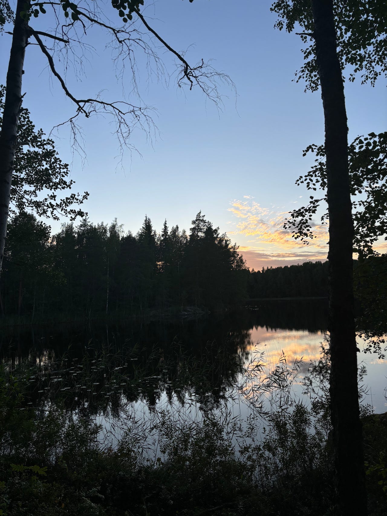 A view from an island looking onto a lake in Finland.