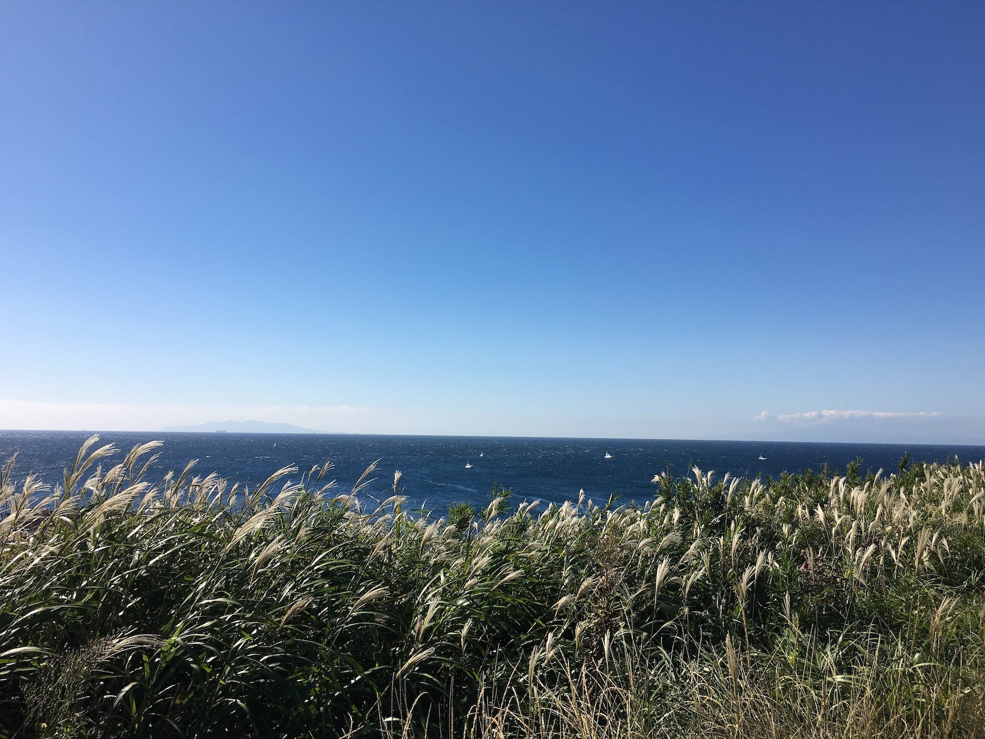 Uitzicht op de Miura schiereiland vanaf Jogashima, Japan.