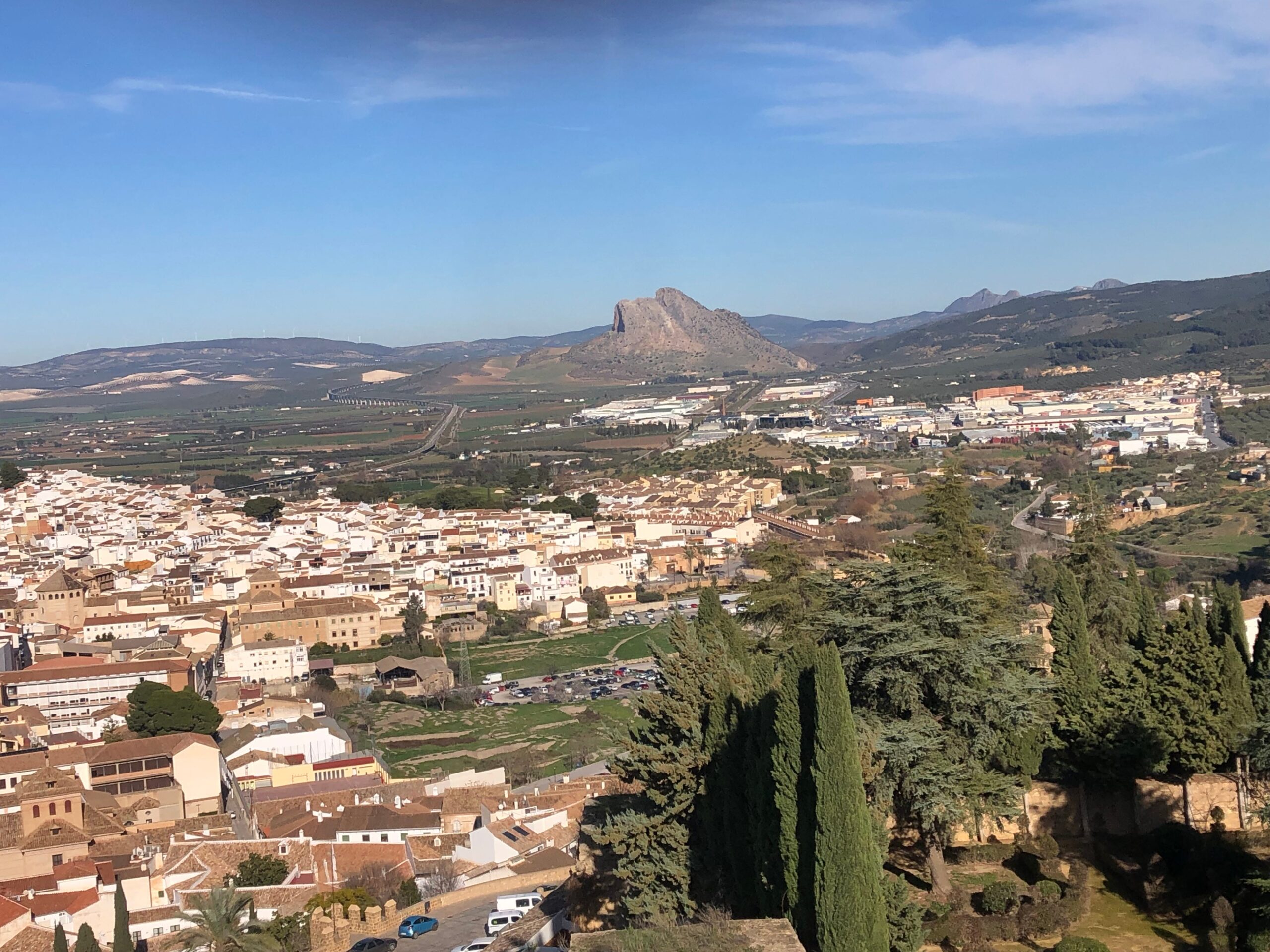 An aerial view of Antequera in Spain showcasing several houses and trees.