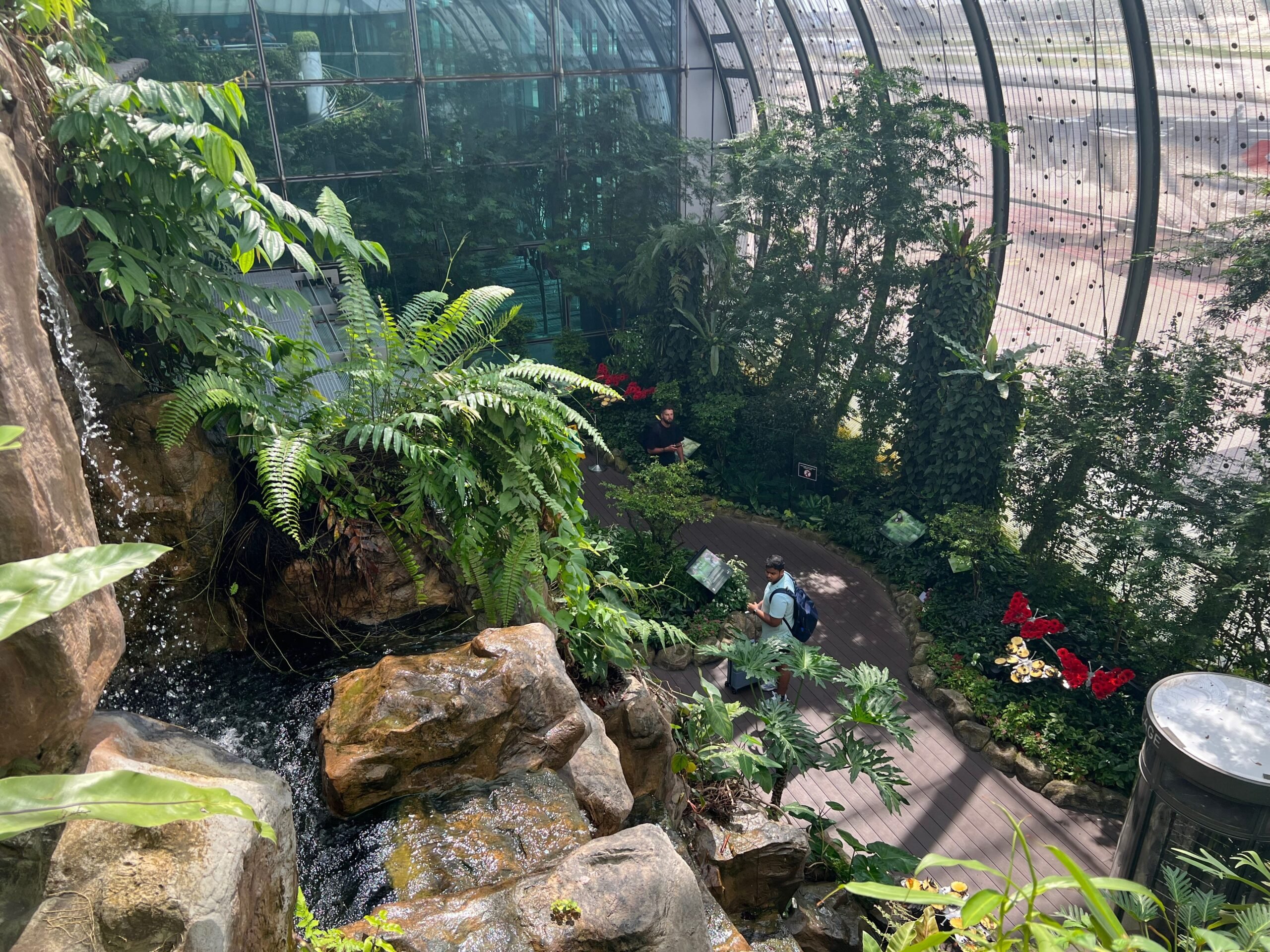 The butterfly garden in Changi's terminal 3 with flowers and plants.