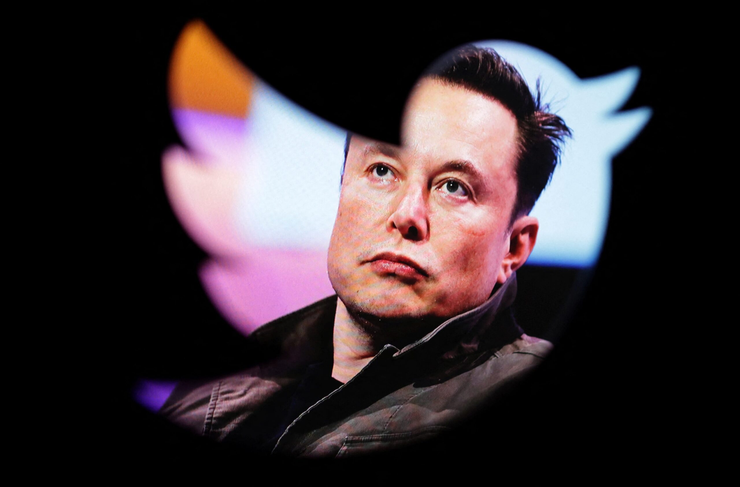 Elon Musk with Twitter bird logo in background