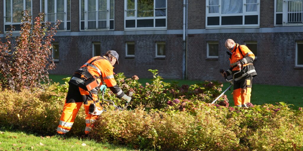 Laaggeschoolde werknemers snoeien een plantsoen in Amsterdam.