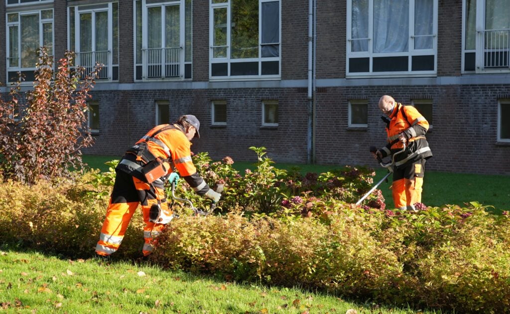 Laaggeschoolde werknemers snoeien een plantsoen in Amsterdam.