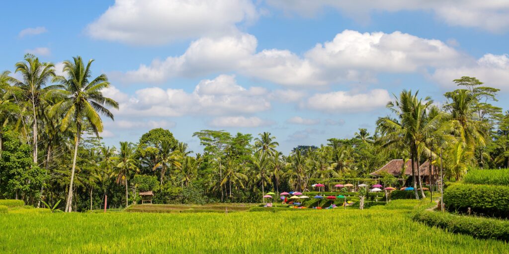 vakantie Bali