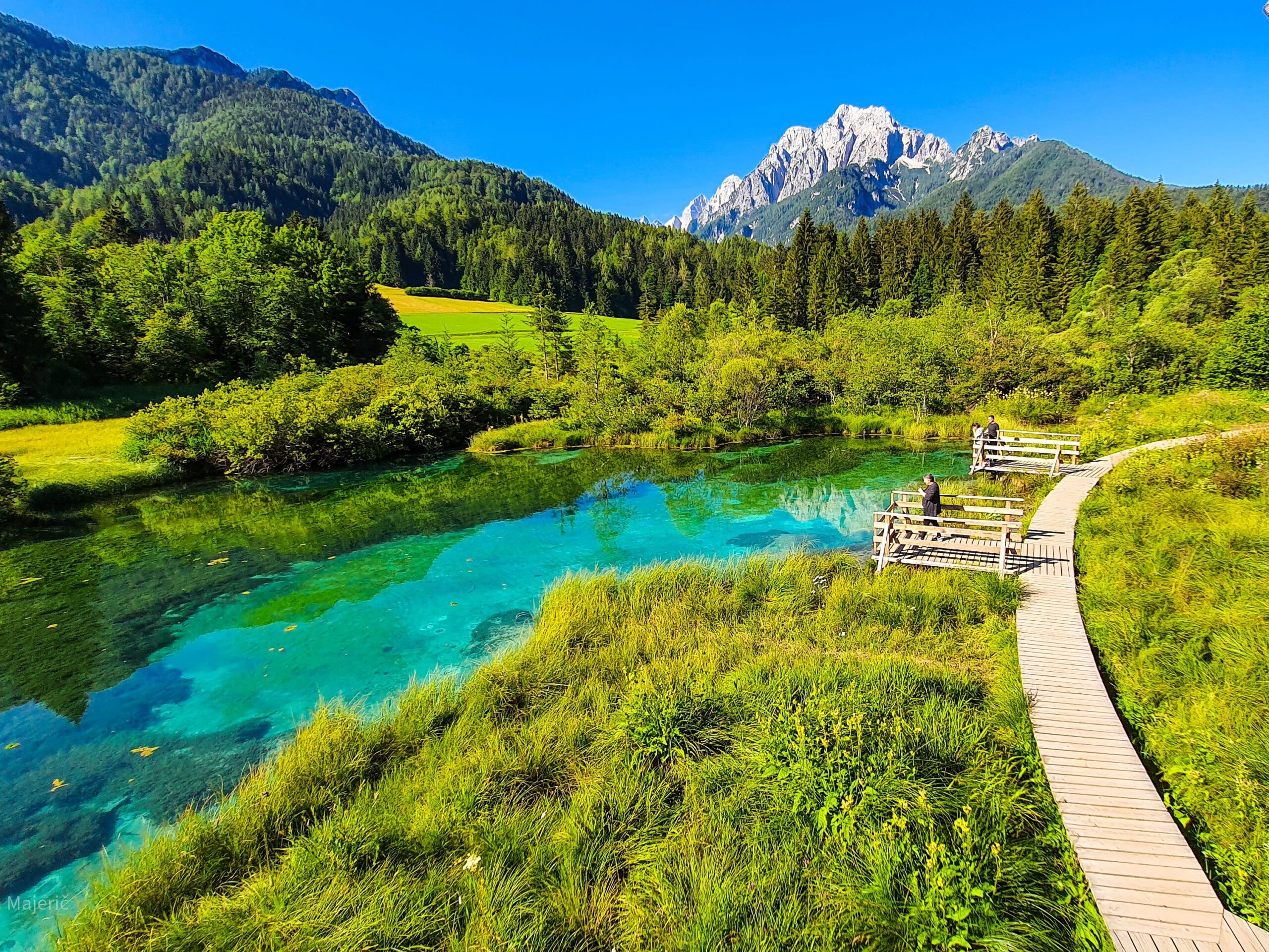 National Park Zelenci in Slovenia on a clear day