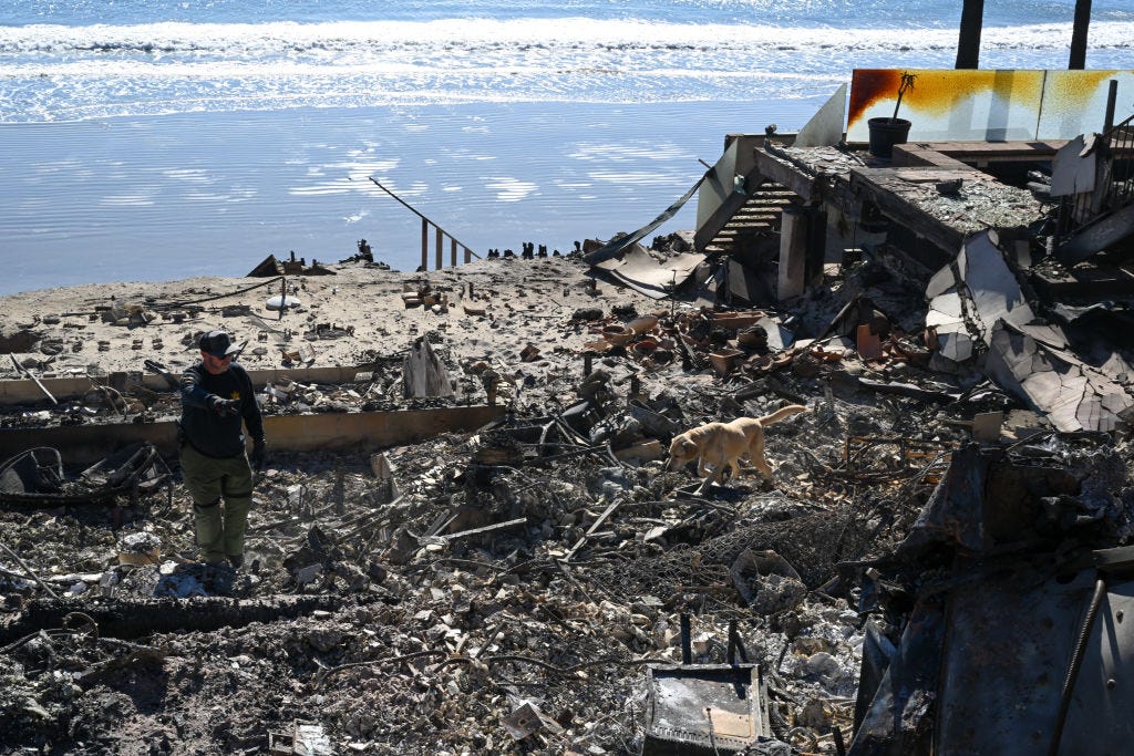 A K9 unit from the Sheriff's department searches for possible body remains in the ashes of burned houses at Malibu Beach after the Palisades fire in Los Angeles