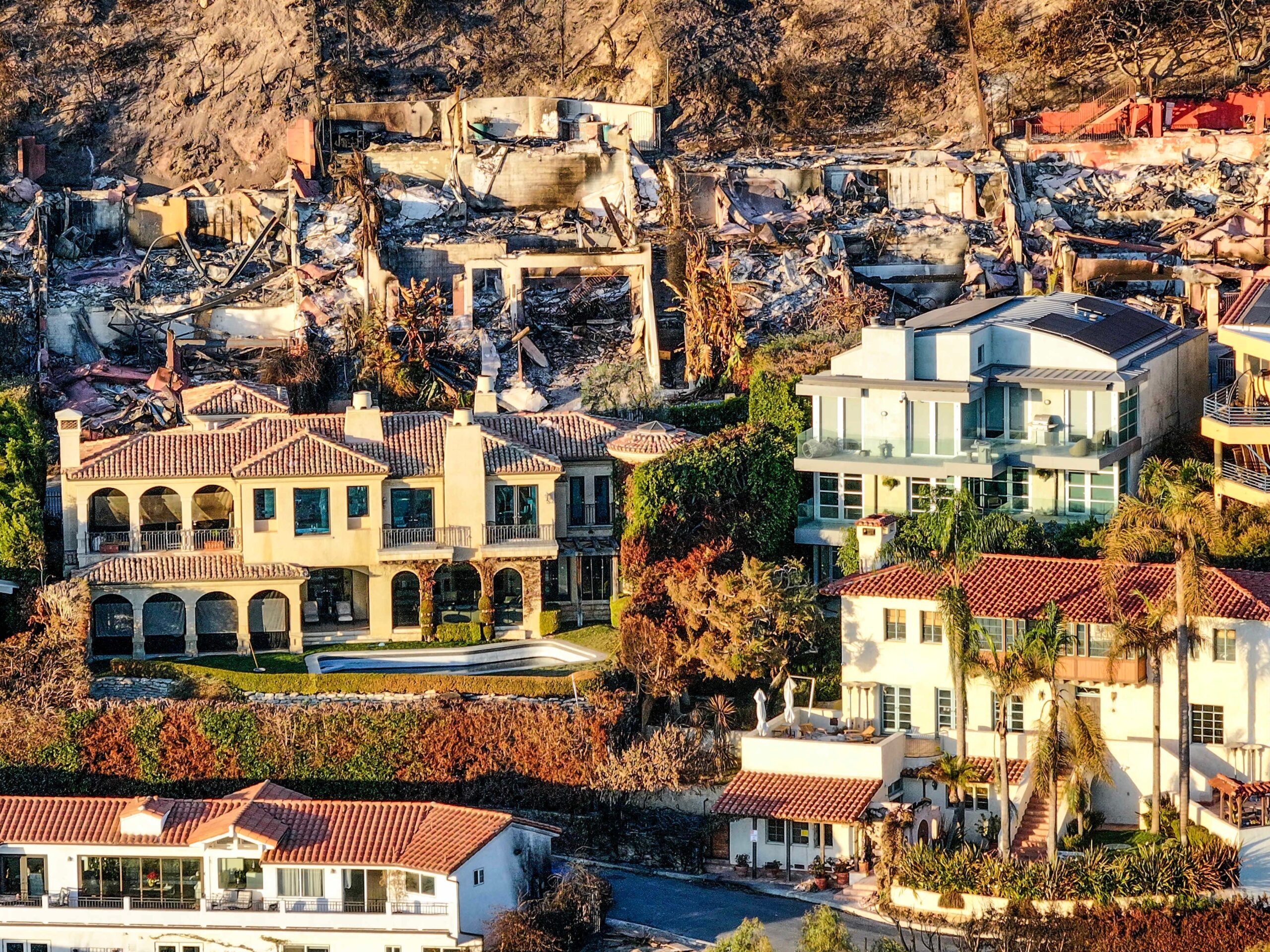 A wide shot of homes left untouched by the Palisades fire. Behind them is a row of homes burned to the ground.