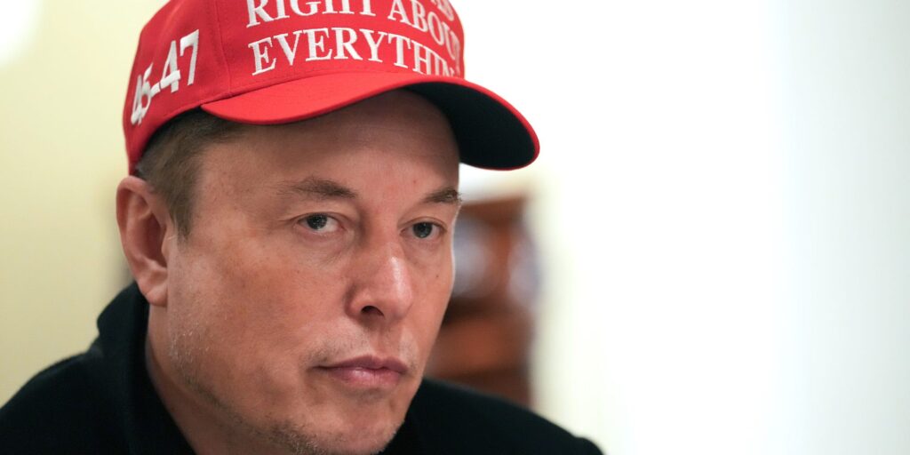 CEO Elon Musk van Tesla